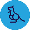 australiaicon